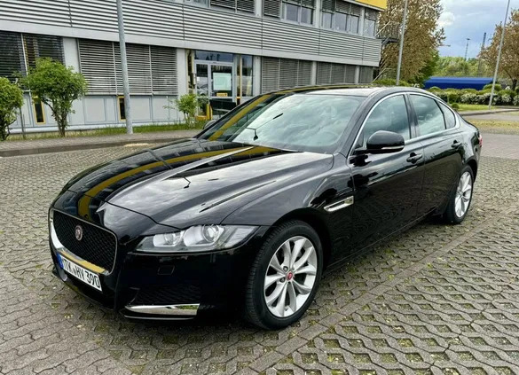 jaguar xf wielkopolskie Jaguar XF cena 159900 przebieg: 39500, rok produkcji 2020 z Częstochowa